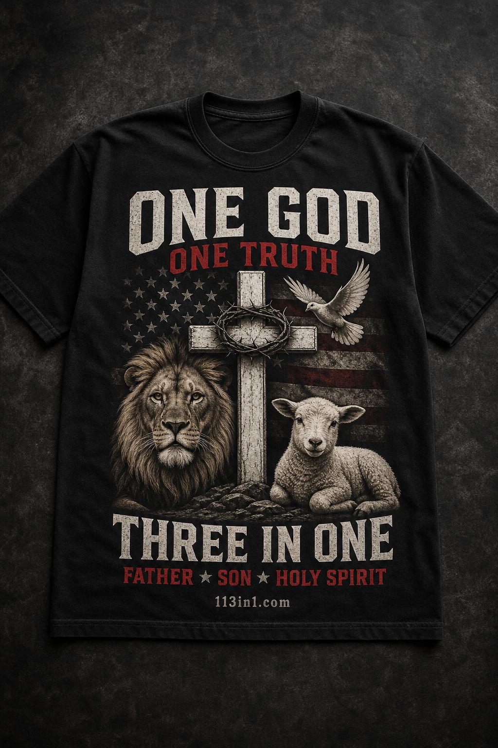 Three In One Tee in Vintage Black
